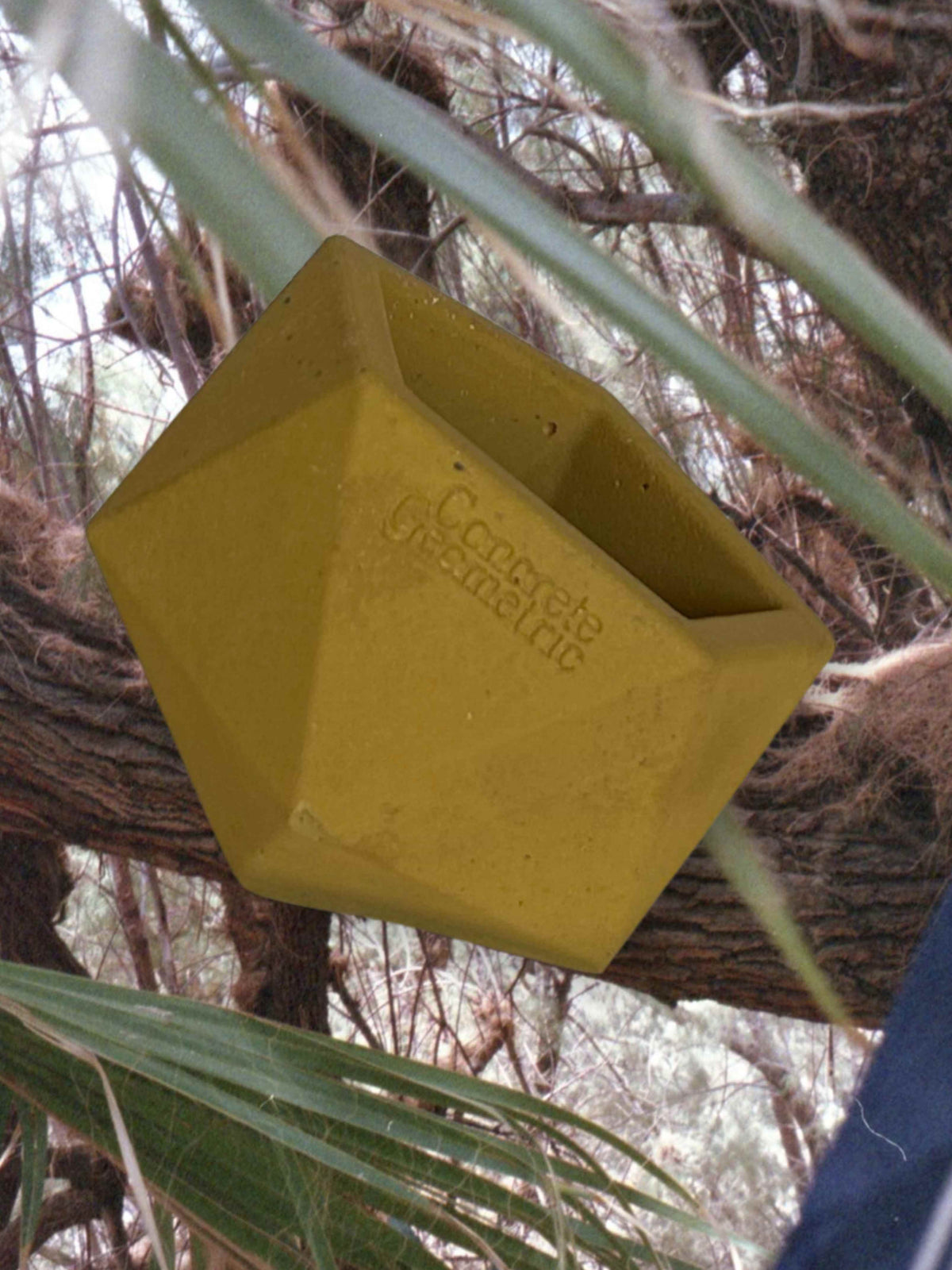 Icosahedron Portal Vessel | Medium Concrete Planter