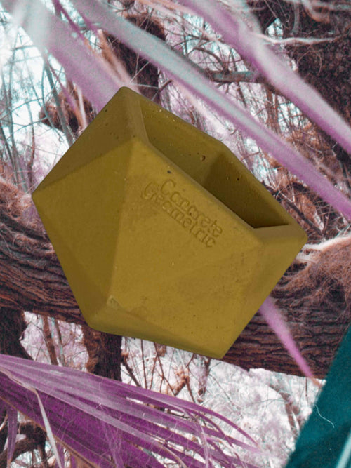 Icosahedron Portal Vessel | Medium Concrete Planter